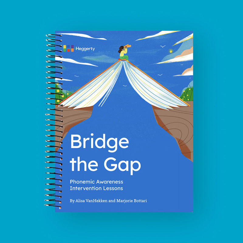 NEW-Bridge the Gap