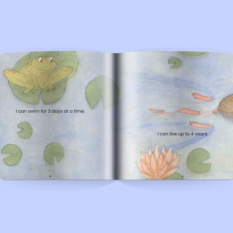 FROG_InteriorMockup_6 copy FROG_InteriorMockup_6 copy